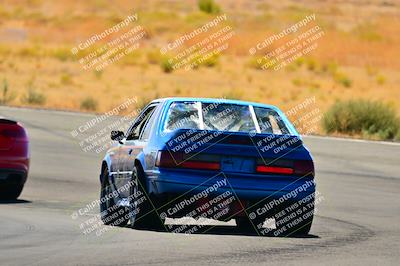 media/Sep-25-2024-Open Track Racing (Wed) [[e97609b8b7]]/Blue Group/Session 2 (Turn 5)/